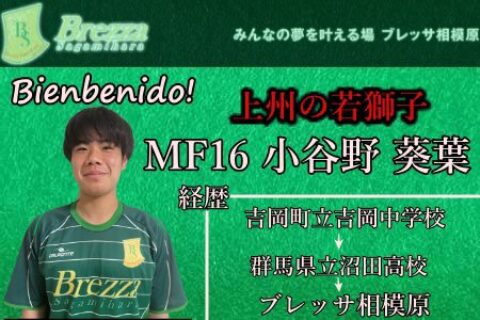 トップチーム新加入・小谷野葵葉選手